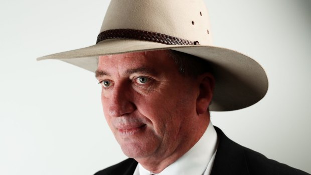 Deputy Prime Minister Barnaby Joyce said the federal government should be focused on helping fix the nation's power problems. 