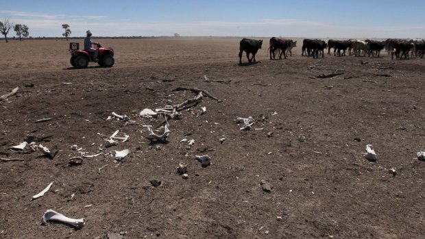 Farmers who experience drought are on the front line of climate change.