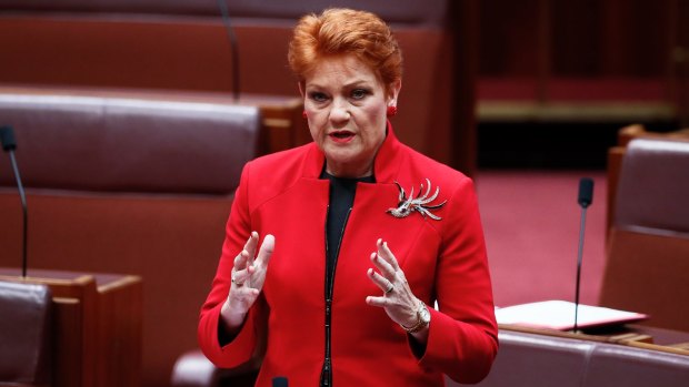 One Nation Senator Pauline Hanson is trying to reclaim Senator Anning's Senate seat.