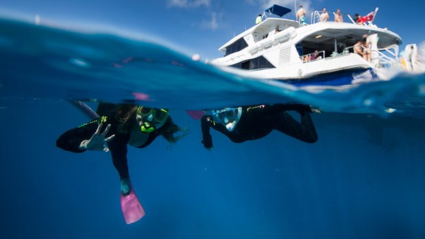 A Japanese tourist has died while snorkeling on the Great Barrier Reef.