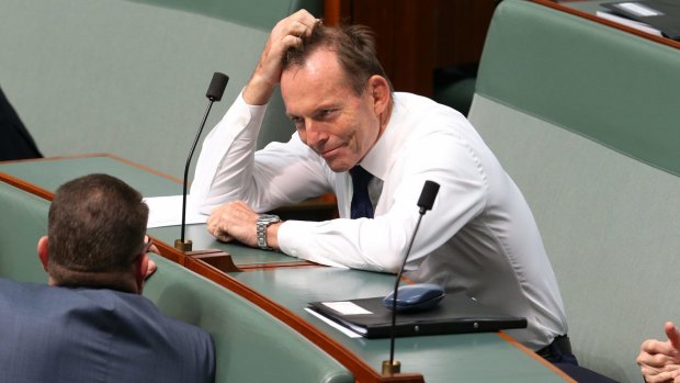 Tony Abbott has asked just one question in the current Parliament.