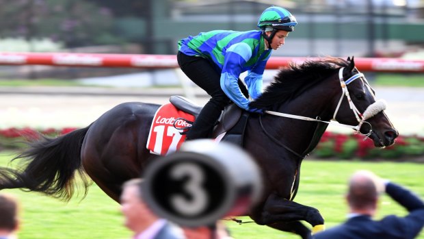 Outsiders: Michelle Payne on Kaspersky will have plenty to do if they are to beat Winx in the Cox Plate.