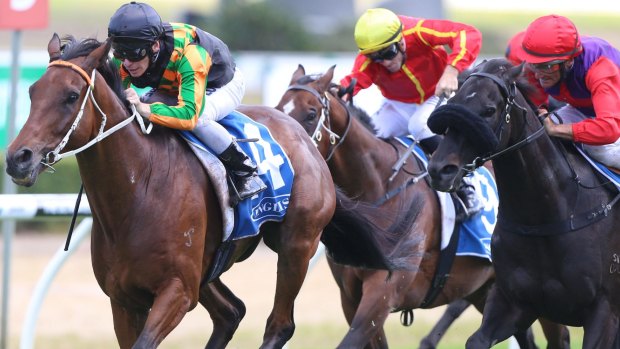 Late surge: Ben Melham pilots Sense Of Occasion to an unlikely victory in The Inglis Villiers Stakes.