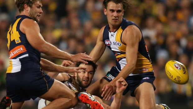 Dom Sheed will miss up to 10 weeks with a pectoral injury.