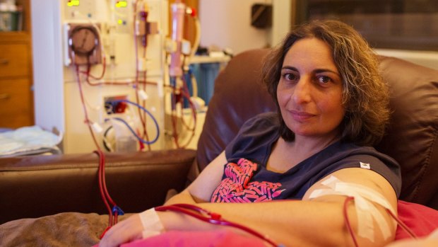 Frances  Zammit last year on her home dialysis machine while she was waiting for her second kidney transplant, which she received in December.