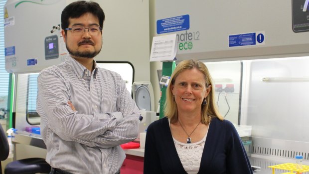 Dr Minoru Takasato and Professor Melissa Little.