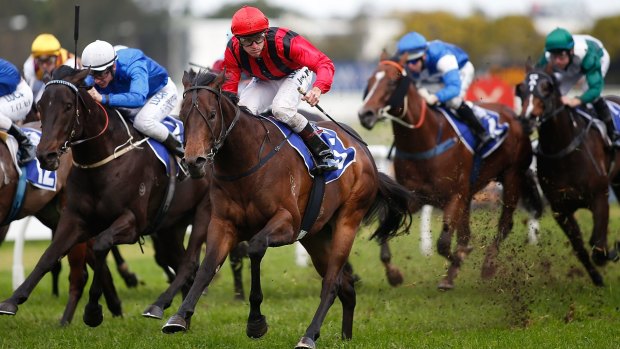 Up front: Hallowed Crown wins at Rosehill.