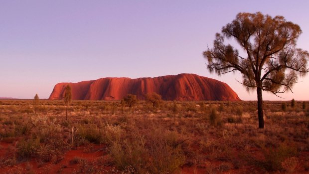 Uluru towers 348 metres above the surrounding plain.