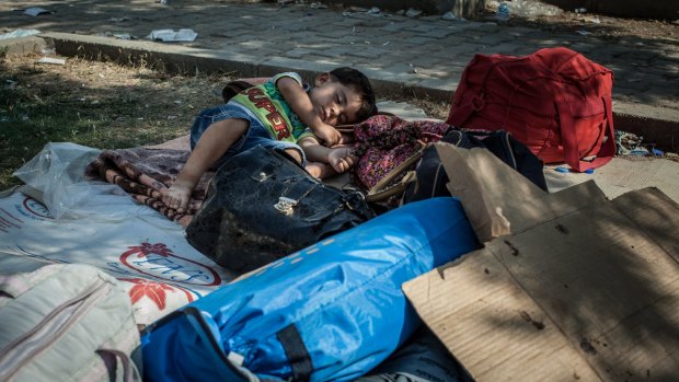 A child sleeps in a public park in Akcakale, Turkey, where some Syrian refugees have been staying.