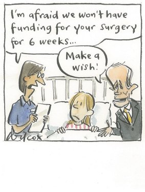 Illustration: Cathy Wilcox