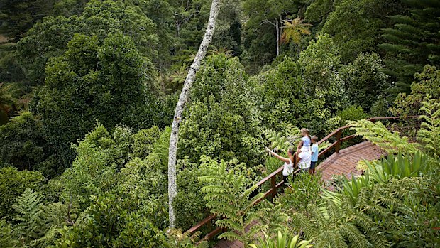 Nature on the doorstep: Enjoy a walk through national parks, Norfolk Island.
