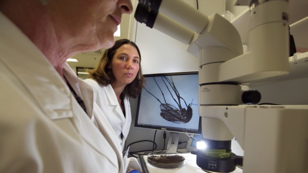 Technical officer Karen Brown and research scientist Stacey Lynch at AgriBio centre.