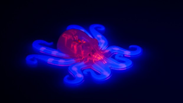 The octobot, an entirely soft, autonomous robot. A pneumatic network, red, is embedded within the octobot's body and hyperelastic actuator arms, blue. 
