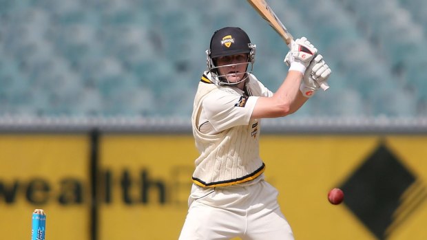 Cameron Bancroft batting for Western Australia against Victoria last year.