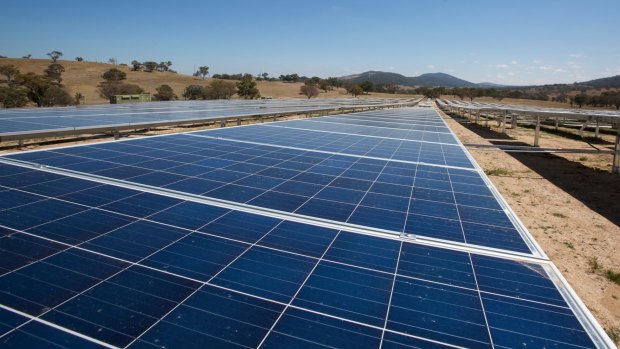 Williamsdale solar farm in the ACT.