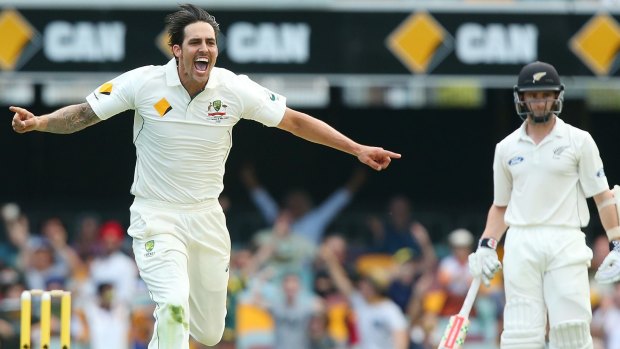 Nearing the end: Mitchell Johnson says he thinks about retirement most days.