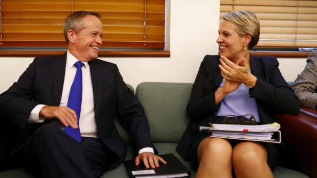 Opposition Leader Bill Shorten and Deputy Opposition Leader Tanya Plibersek argued the Medicare levy rise should only apply to people earning more than $87,000 a year.