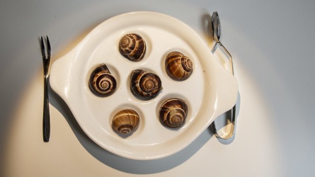 French snails.