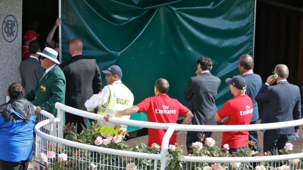 Tragic day: A screen shields one of the distressed gallopers after the 2014 Melbourne Cup.