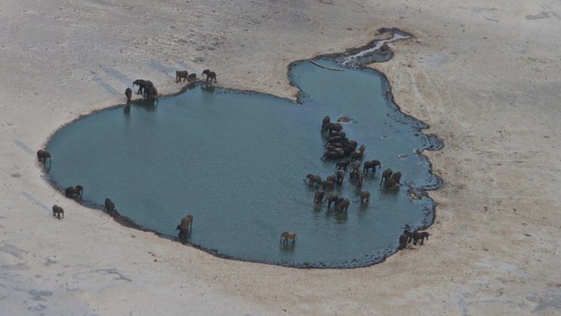 Late dry season Hwange waterhole.