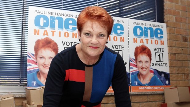 Pauline Hanson's policies do not stand up to scrutiny.