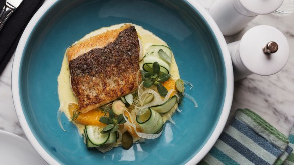 Murray cod with fennel, orange and cucumber.