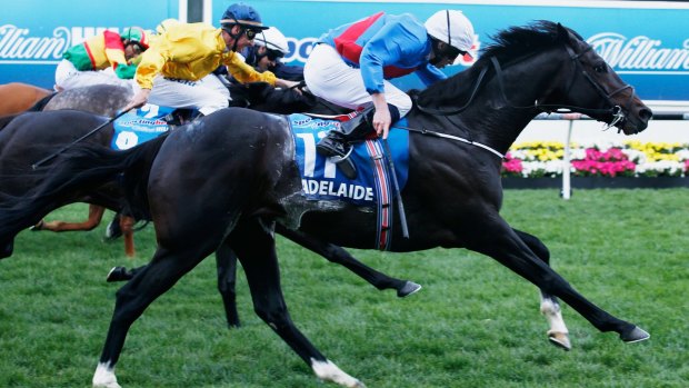 Looking for moore: Ryan Moore rides Adelaide to victory in the Cox Plate.