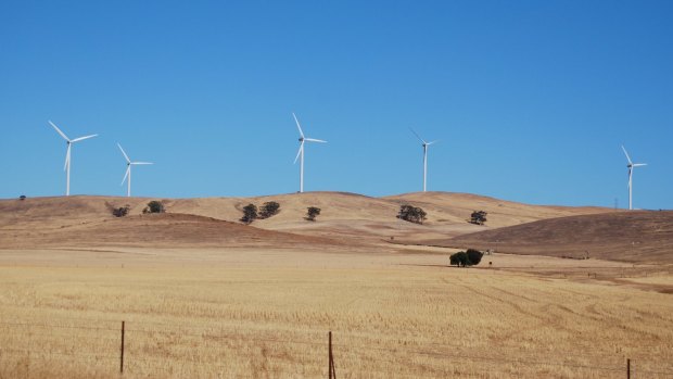 A new wind farm near Dalby is set to generate 350 jobs during construction. 