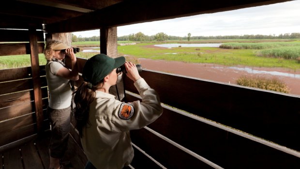 The Reed Beds Bird Hide looks out onto a wetland that plays host to copious bird life.