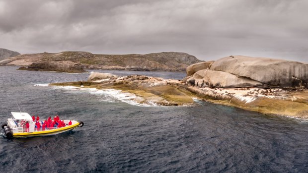 Pennicott Wilderness Journeys' amphibious vehicle, the first of its kind in the world, was eight years in the making and is designed to have minimal environmental impact. 