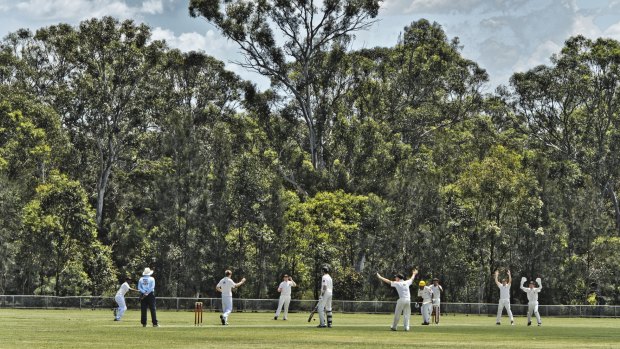 Grassroots survival is a major issue for cricket.