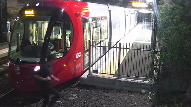 A man dodges the Dulwich Hill tram.
