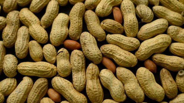 Peanuts are one of the most common food allergens.
