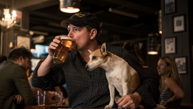 Peter Philip said he designed his Wayward Brewery's tasting room to be dog-friendly from the start. 