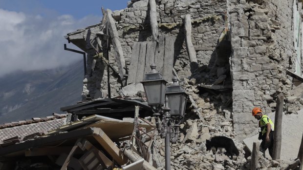 A rescuer walks a sniff dog as they search through the debris of collapsed houses following an earthquake in Amatrice, central Italy.