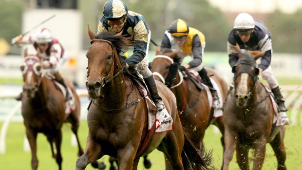 Wet-weather specialist: Kerrin McEvoy rides Our Ivanhowe to win the Ranvet Stakes.