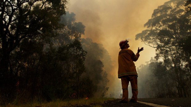 A NSW RFS firefighter feels for rain as forecast storms move into the Blue Mountains last year during back-burning.