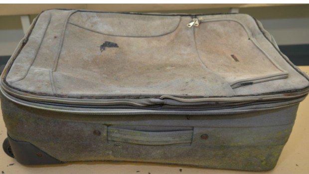 The suitcase in which the remains were found, and a tutu and shoe found with the body.