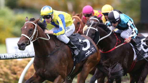 Magic performance: Tommy Berry rides Amovatio to victory at Canterbury on Saturday.