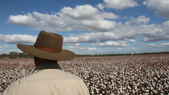 Attempts to open up Telstra's regional mobile network to roaming could reduce investment, the telco's CEO warns. 