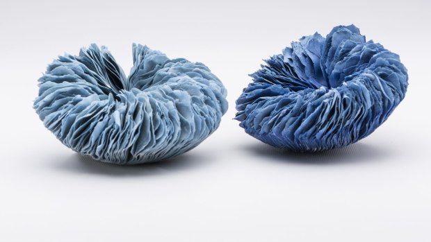 Blue and indigo forms by Amy Kennedy.