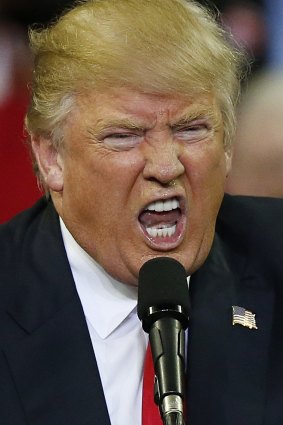 'He's an insane bigot': Louis C.K. takes aim at Donald Trump.