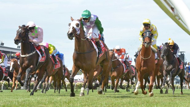 Pleasure and Payne: Michelle Payne (green cap) on Prince of Penzance wins the Melbourne Cup.