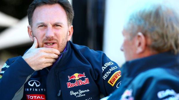 Struggling: Red Bull boss Christian Horner.