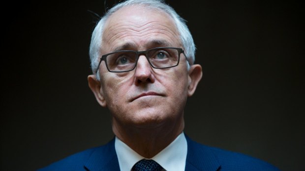 Prime Minister Malcolm Turnbull has questioned the utility of a full audit of MPs.