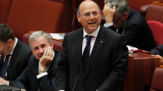 Senator Arthur Sinodinos: his support for Abbott is "not unconditional".