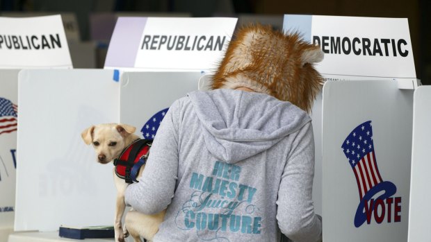 A resident wears a mask and holds a dog while voting during the presidential primary election at the Venice Beach Lifeguard polling station in Los Angeles.