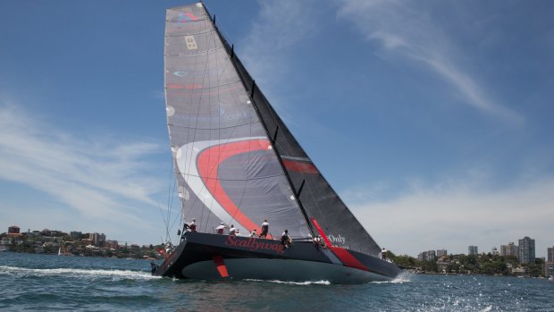 Sydney to Hobart hope: Scallywag during the Big Boat Challenge.
