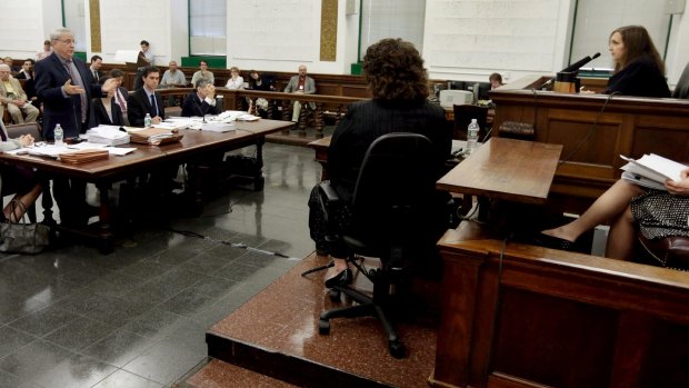 Steven Wise (standing) appears in front of Judge Barbara Jaffe in New York State Supreme Court.