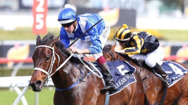 Valley preview: Top mare Winx will work at Moonee Valley on Thursday.